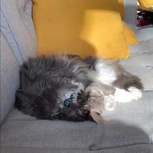 Meet your Posher, Evan